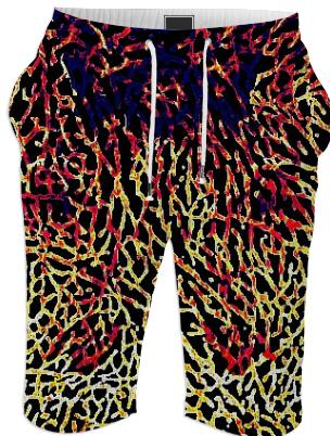blazing elephant print summer shorts