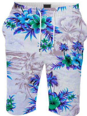 blue fiji summer shorts