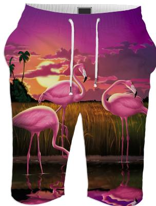 flamingo sunset summer shorts