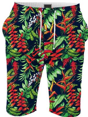 hawaiian paradise summer shorts