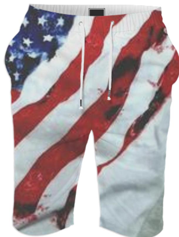 A1 Since Day 1 Summer Shorts American Flag
