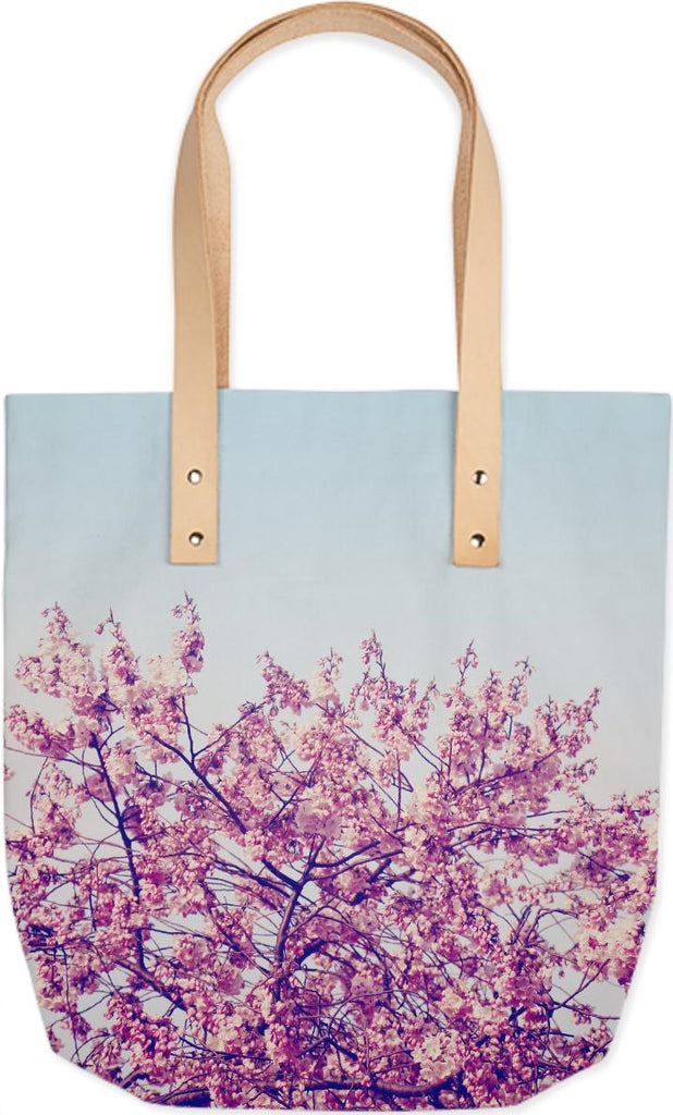 Cherry Blossom Sky