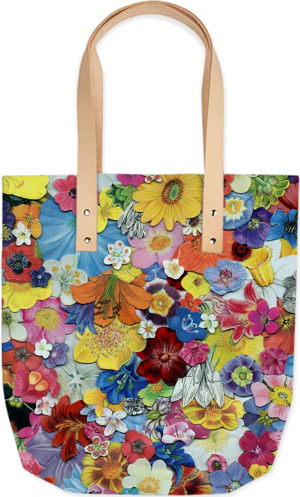 summertote