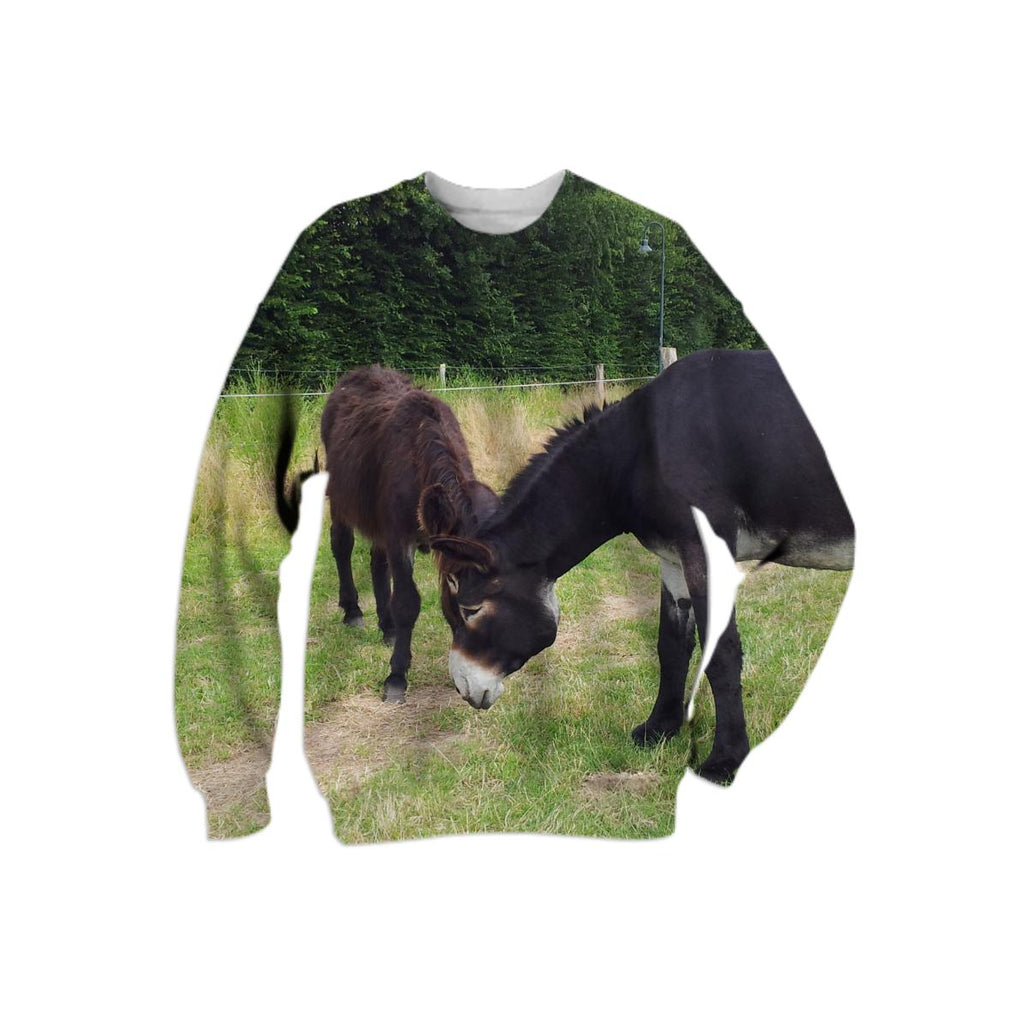 Donkey sweatshirt