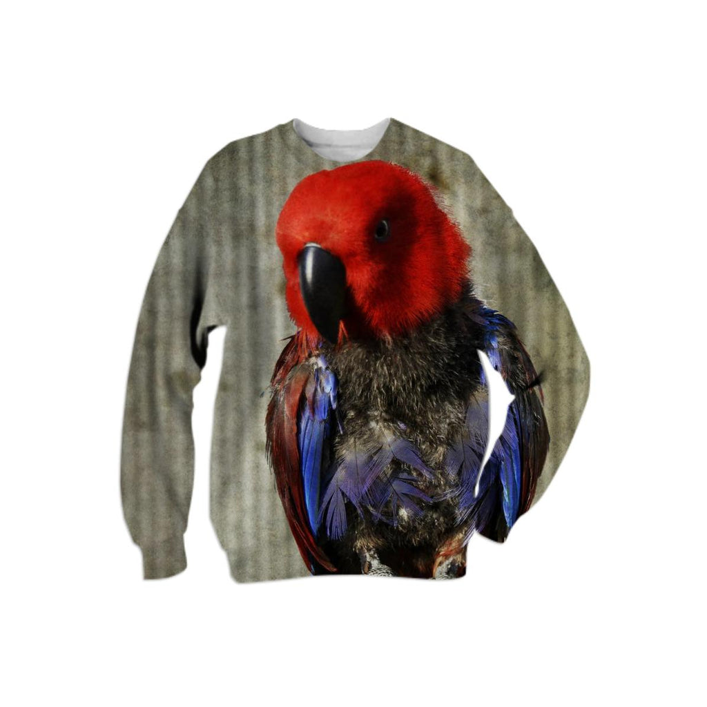 red head parrot sweatshirt