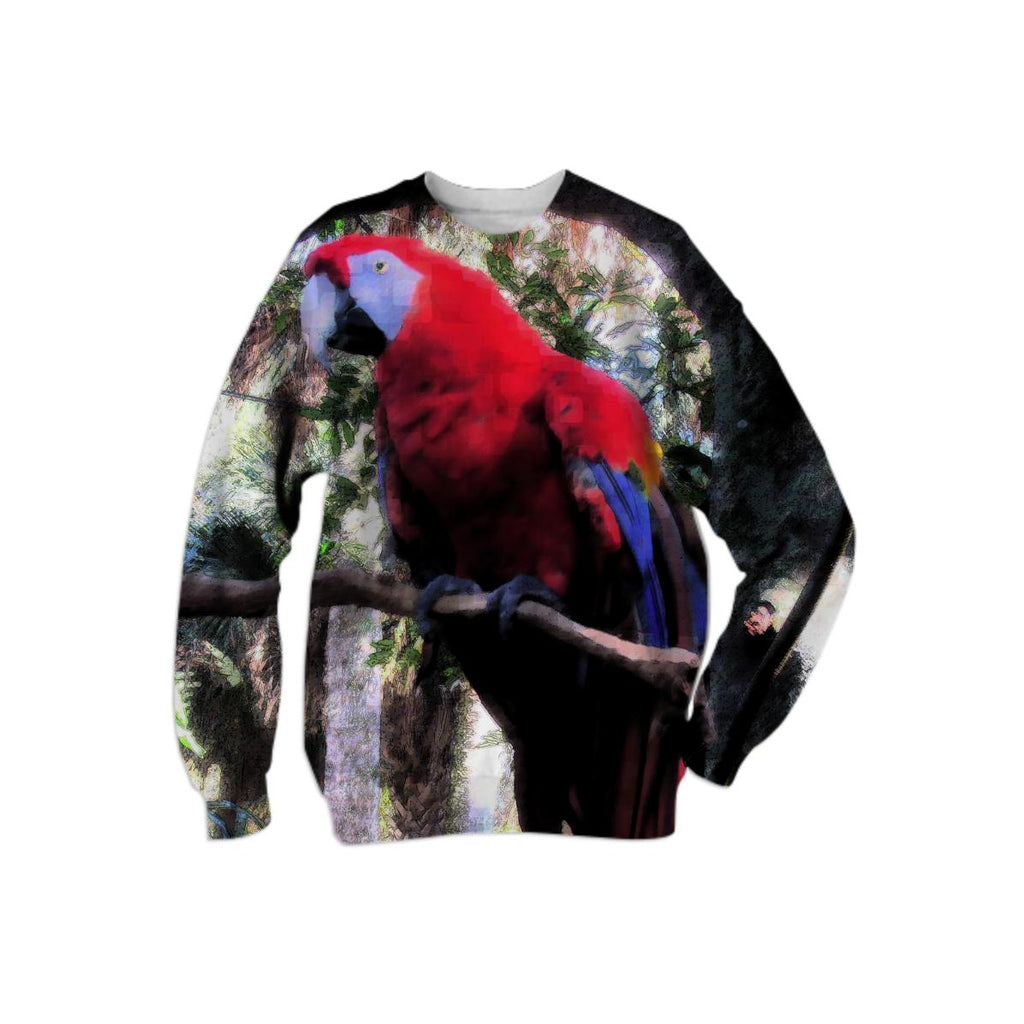 Red Macaw 2332