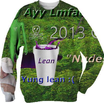 2013 sweater