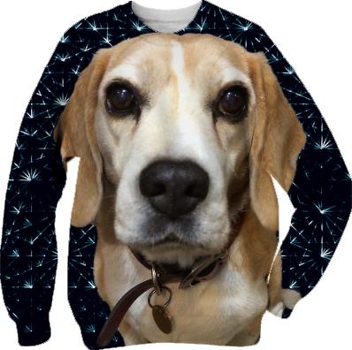 Galactic Beagle