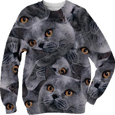 CATastrophe Sweatshirt