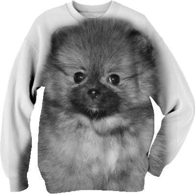 Pomeranian puppy dog sweatshirt