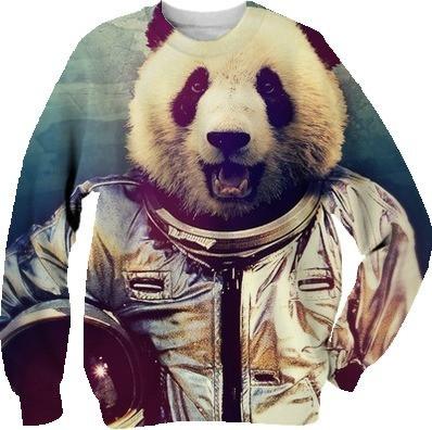 Spaceman v3 panda wmv