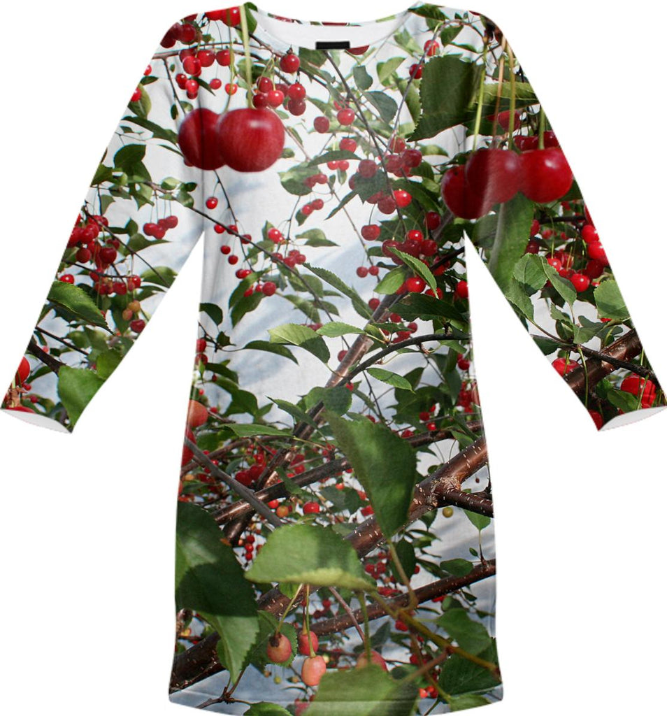 Desired Sweatshirt Dress