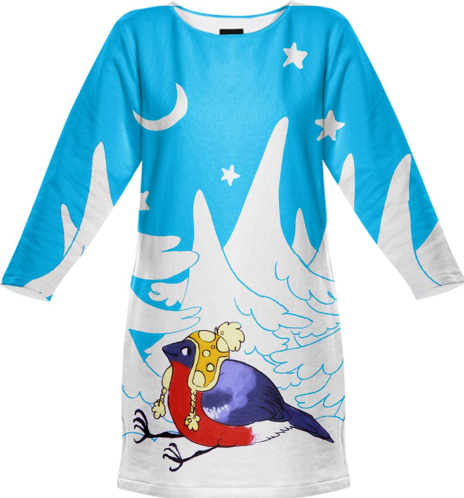 sweatshirtdress