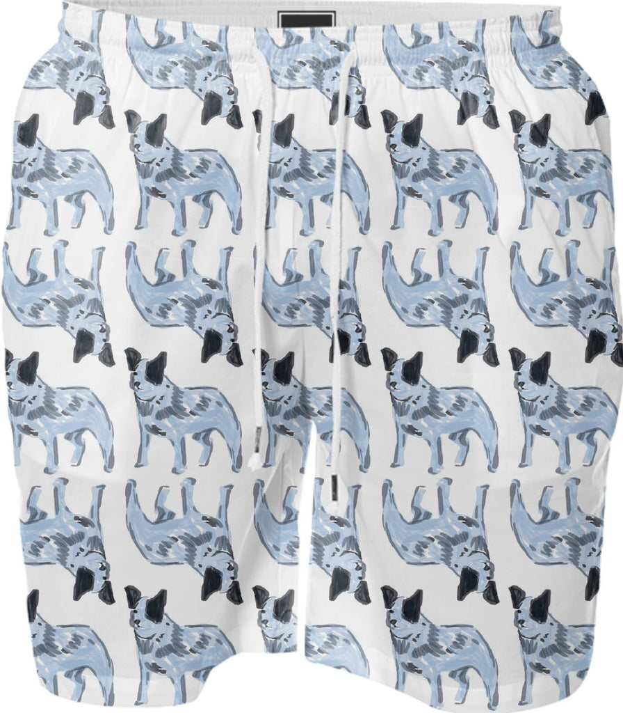 Blue Heeler swimshort