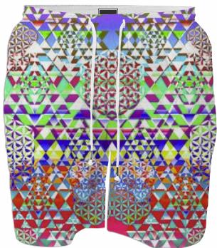 Level Up Swim Trunks