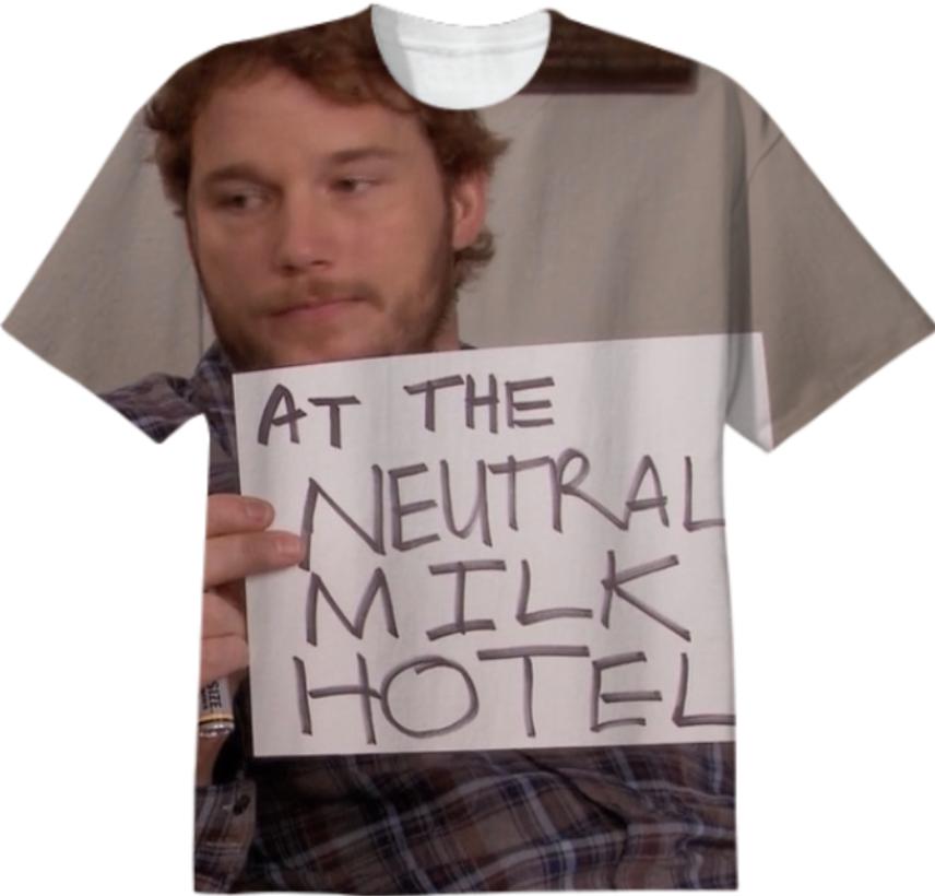 at the neutral milk hotel
