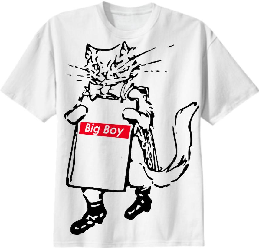Big Boy Cat