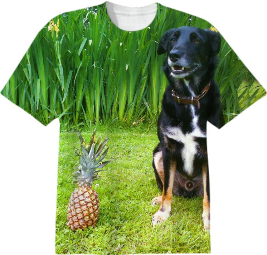 Dog Pineapple
