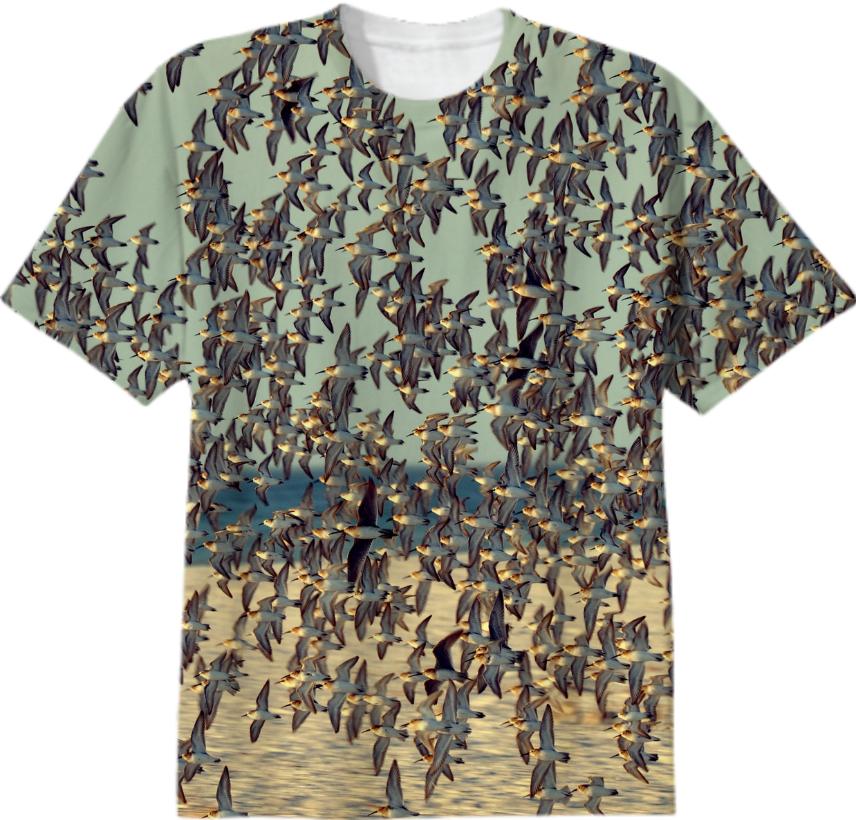 flock Collaboration with Peter Lostritto