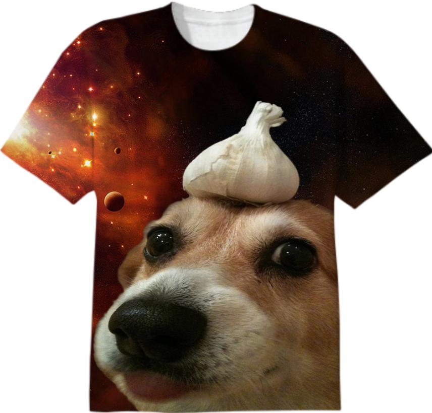 Onion Dog In Space