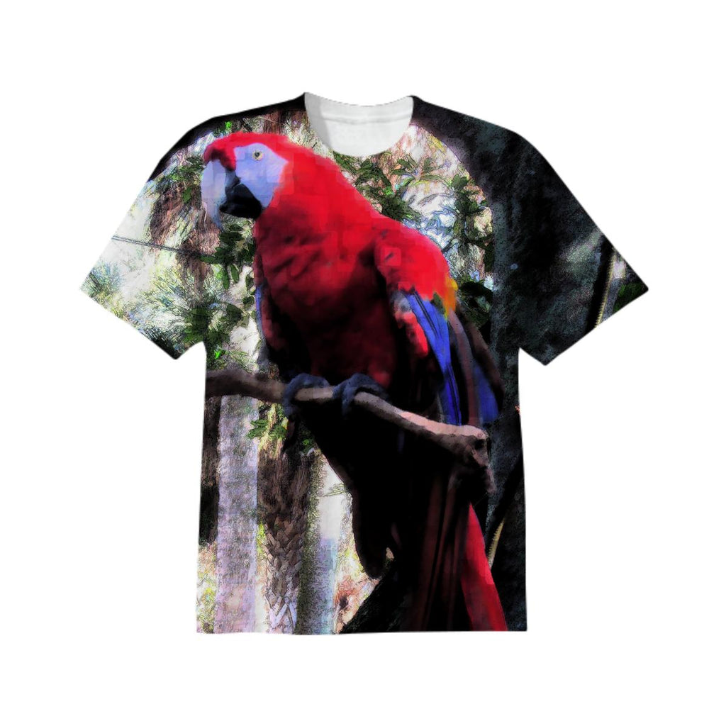 Red Macaw 2332