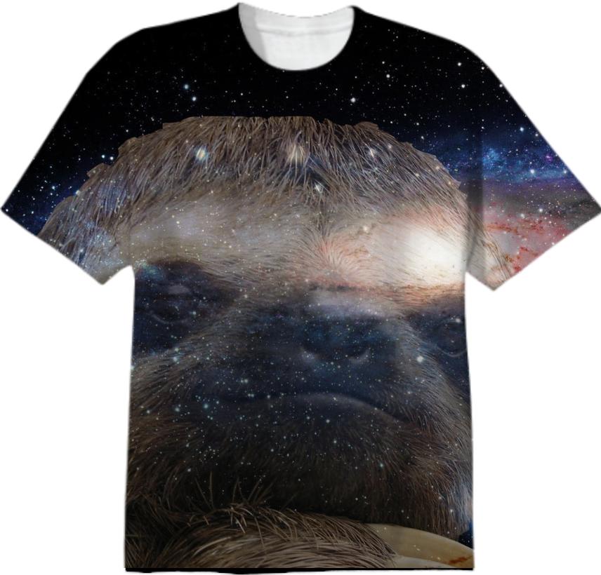 sloth in space 2