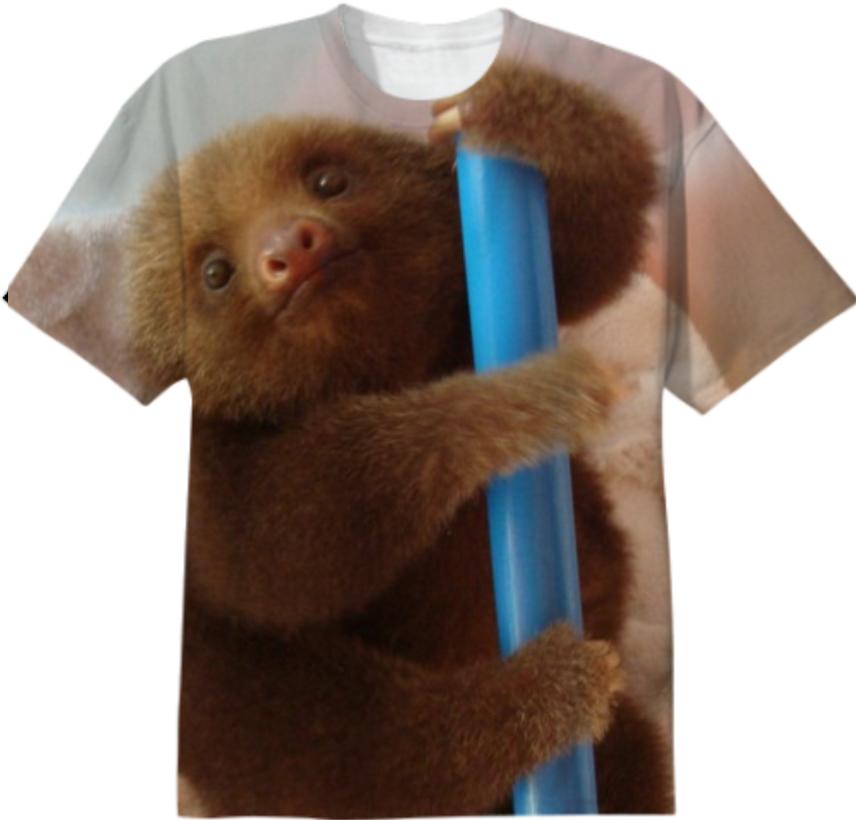 Sloth on a Straw