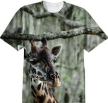 t shirt
