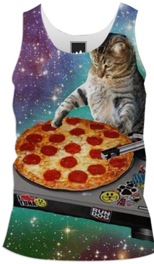 The pizza space cat DJ