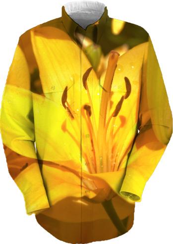 Yellow Day Lilies VI