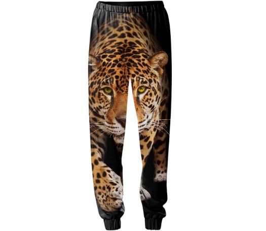 JAG SWEATPANT 1