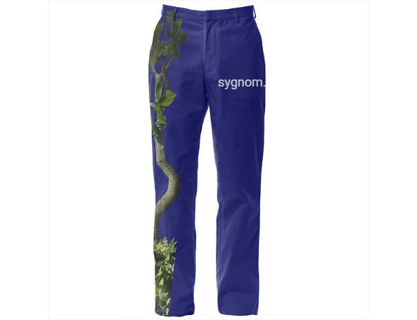 Sygnom Tray v2 VP Pants blue