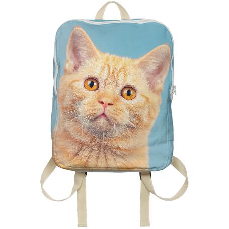Kitty Kat Bag