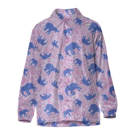 Paisley Elephants