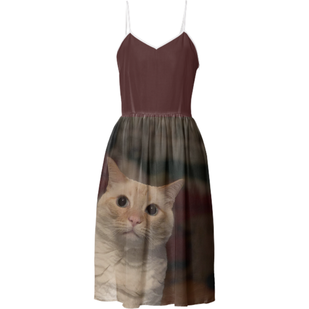 Dress#1