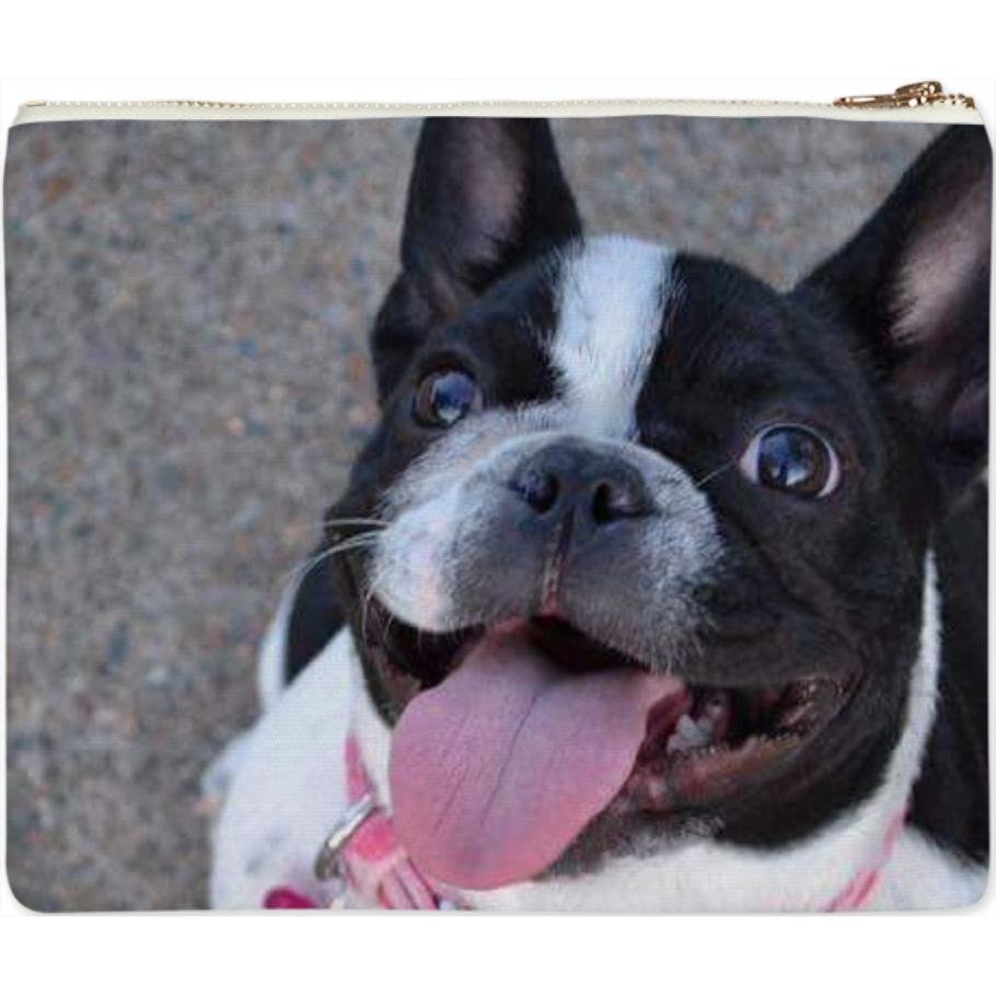 izzy pouch canvas