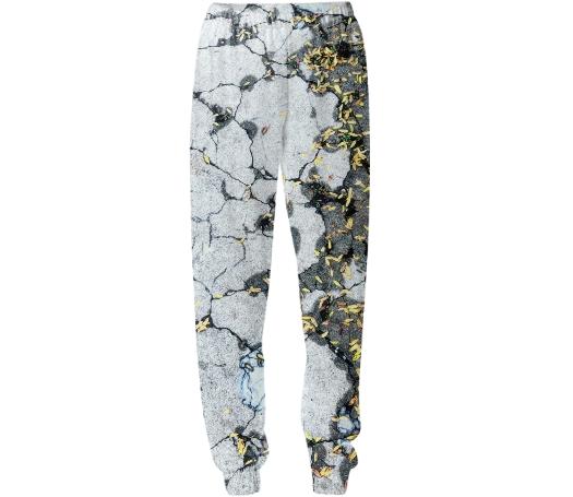 Fall Leaves on Broken Concrete