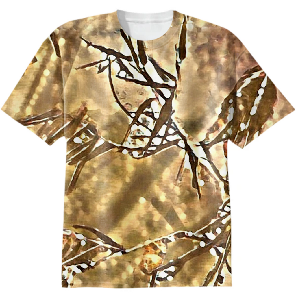 blade  grass,  sunset shore, golden, shore, sun glare