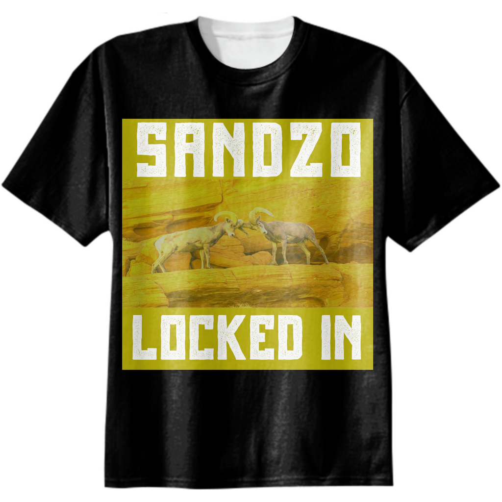 Sandzo Losarion Locked In