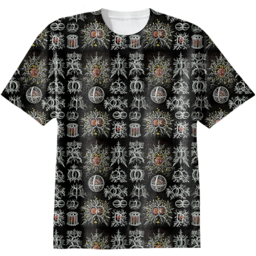 Haeckel, Stephoidea pattern, micro creatures