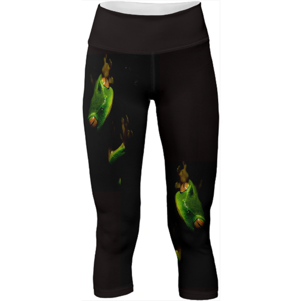 yogafrog