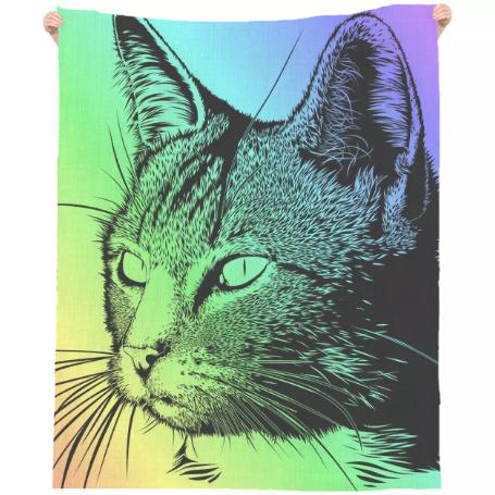 Rainbow Cat Towel