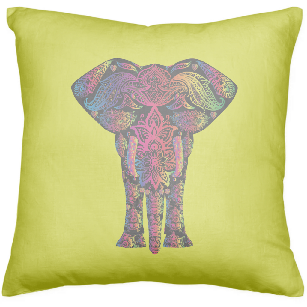 Throw Pillow