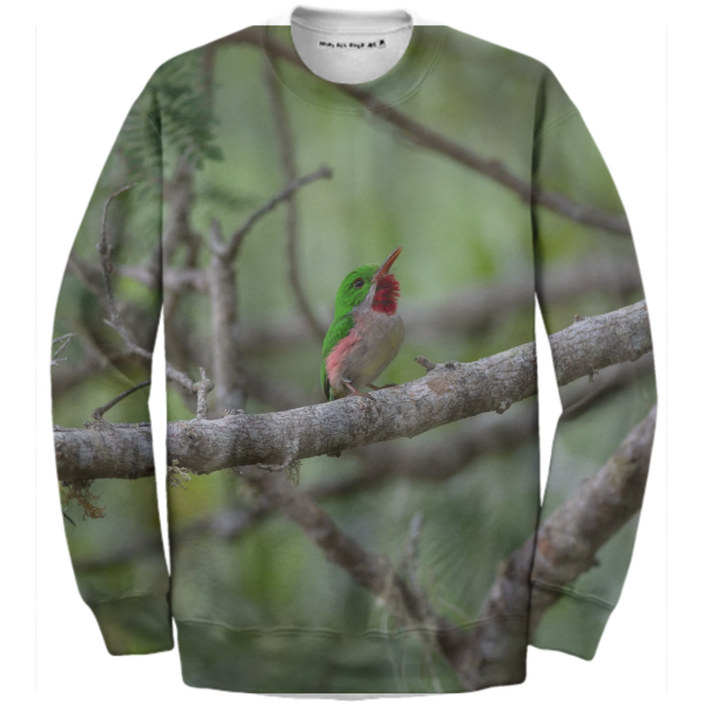 Broad-billed Tody Sweater