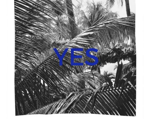 YES PALMS