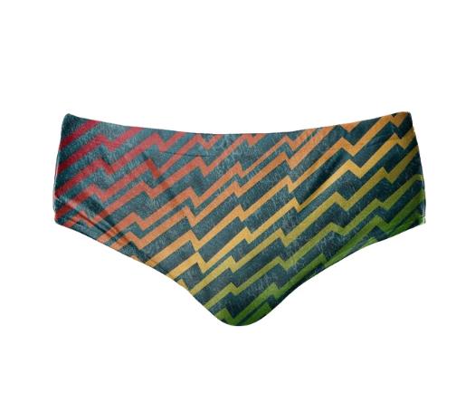 Rainbow Zig Zag Speedo