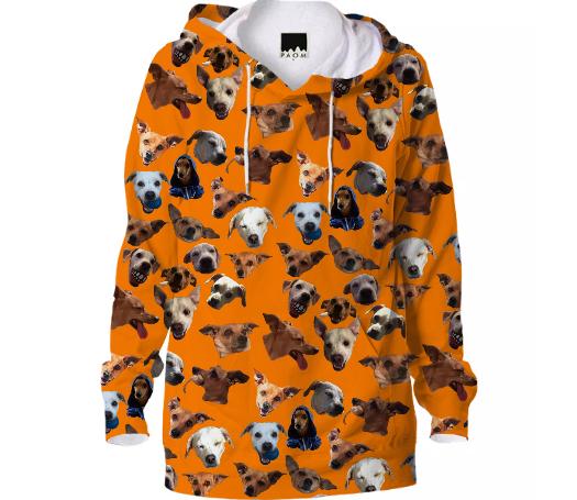 jeff hoody