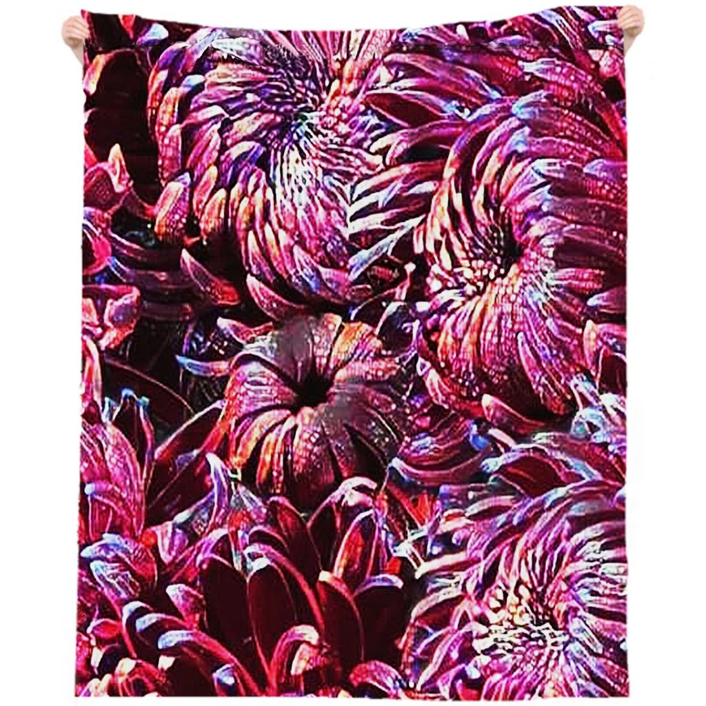 chrysanthemums, large petals, multicolored purple, flowers, iridescence,