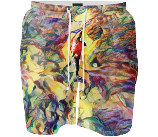 Orca Vibes 4 SWIM SHORT