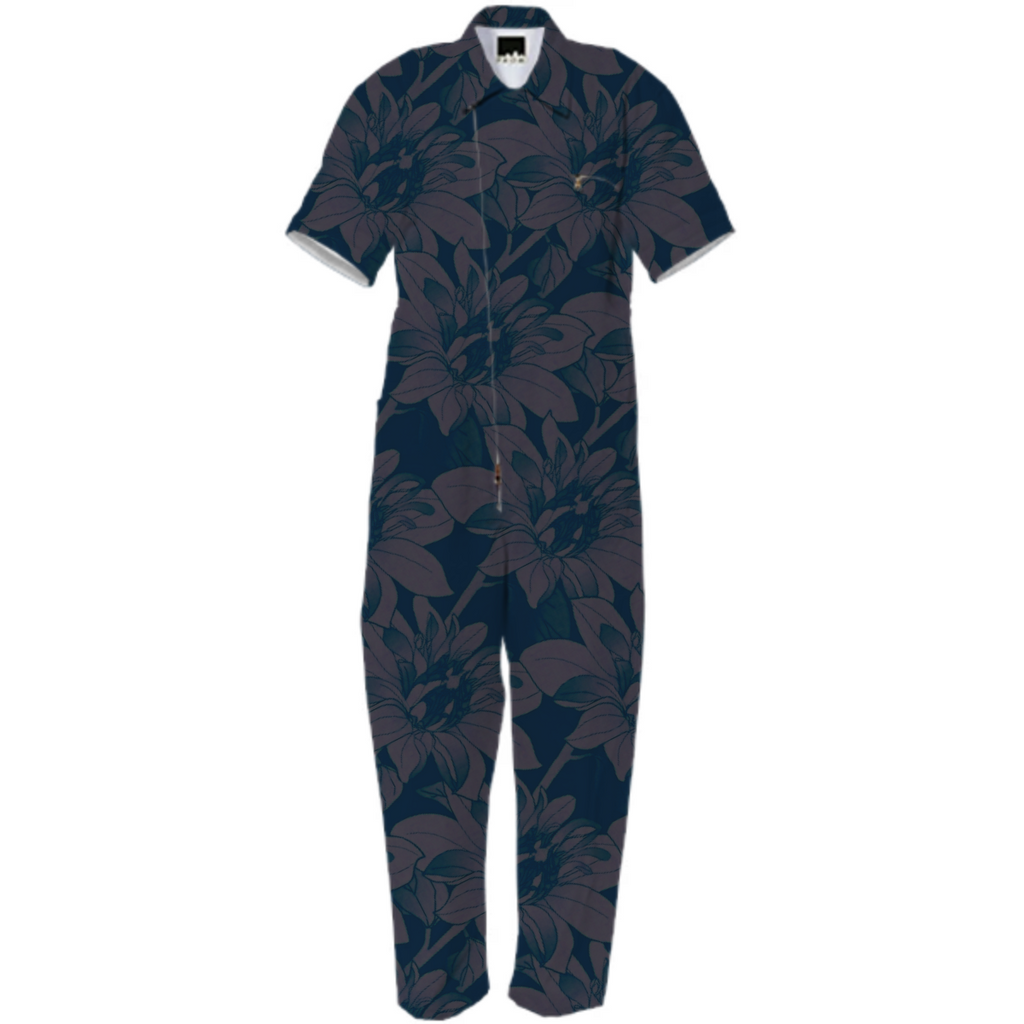 DIM_HAWAII